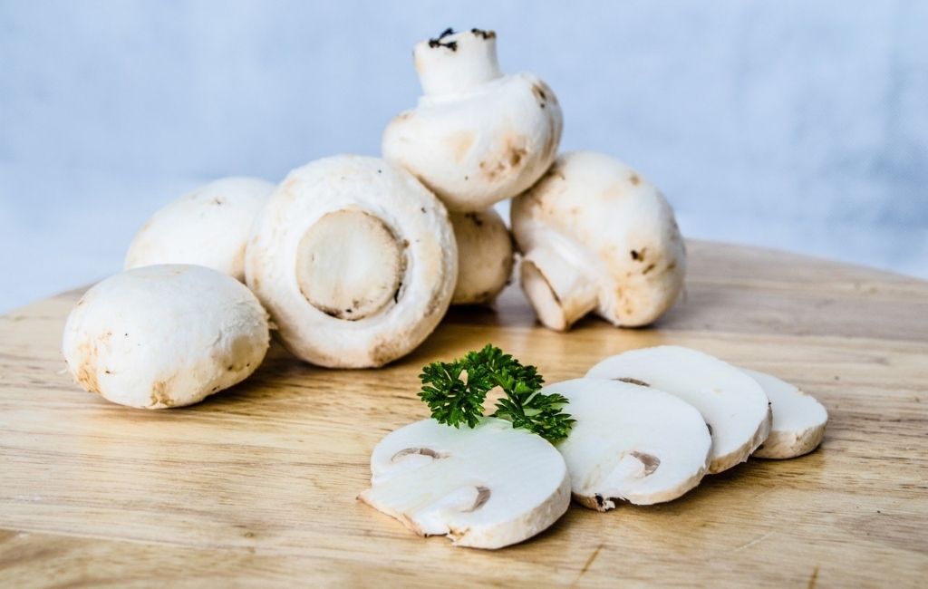 Know the 10 Best Lion’s Mane Mushroom Benefits Picks